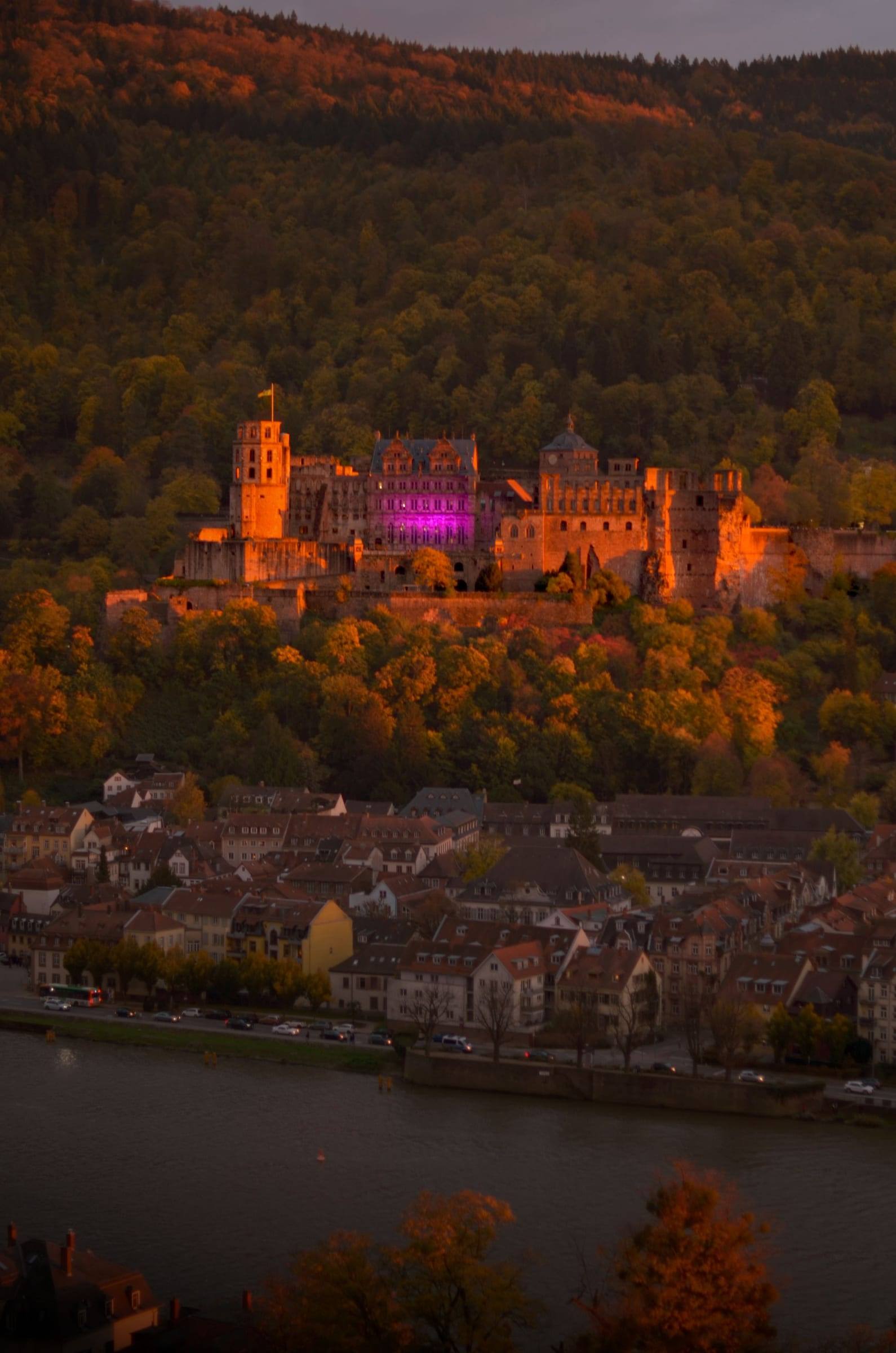 Das angestrahlte Schloss über den Dächern der Altstadt am Abend